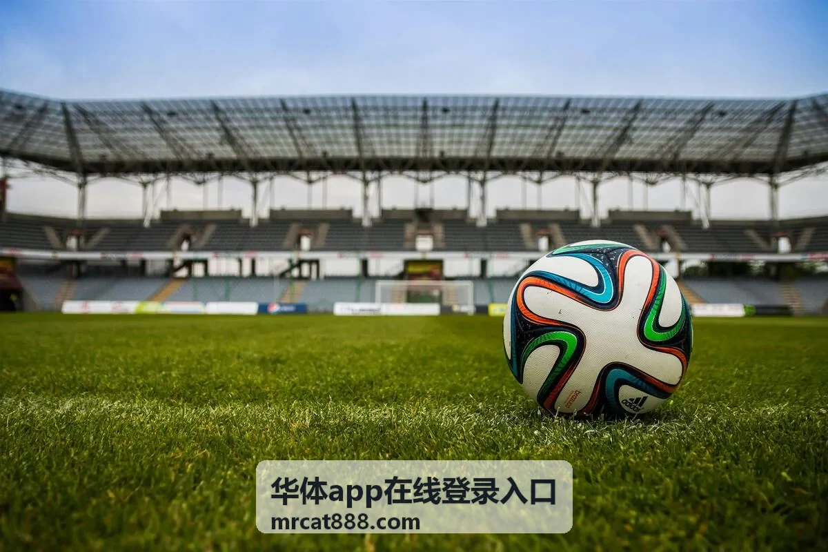华体app在线登录入口奖励与任务帮助说明图