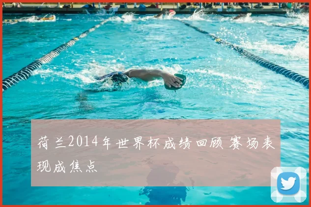 荷兰2014年世界杯成绩回顾 赛场表现成焦点