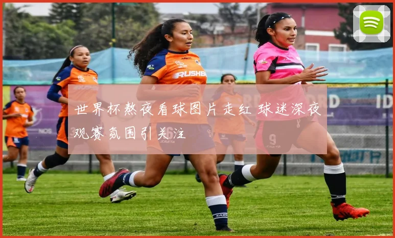 世界杯熬夜看球图片走红 球迷深夜观赛氛围引关注