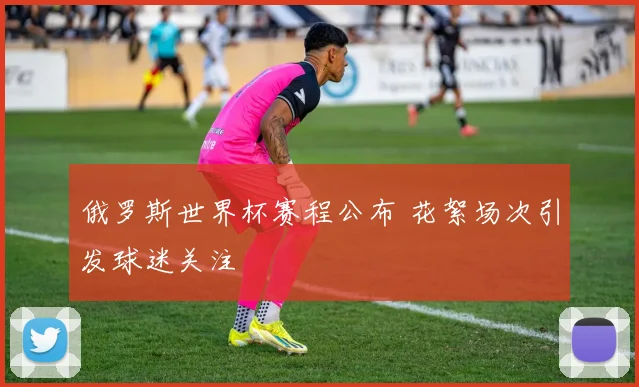 俄罗斯世界杯赛程公布 花絮场次引发球迷关注